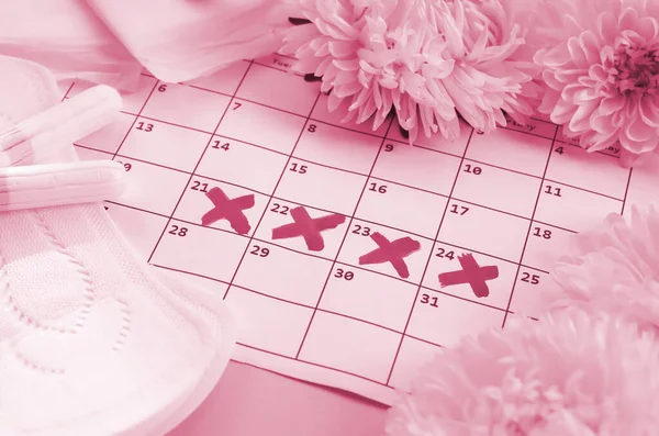 Menstrual pads and tampons on menstruation period calendar with white flowers on lilac background. Aspects of women wellness in monthlies period. Image toned in Viva Magenta, color of the 2023 year