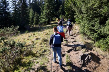CARPathan Dağları, UKRAine - 8 Ekim 2022 Hoverla Dağı. Sonbaharda Ukrayna 'da Karpatlar. Turistler Hoverla dağının tepesine tırmanmak için tepeler ve ormanlar arasında yürürler.