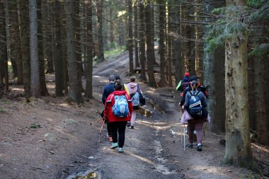 CARPathan Dağları, UKRAine - 8 Ekim 2022 Hoverla Dağı. Sonbaharda Ukrayna 'da Karpatlar. Turistler Hoverla dağının tepesine tırmanmak için tepeler ve ormanlar arasında yürürler.