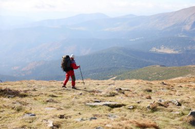 CARPathan Dağları, UKRAine - 8 Ekim 2022 Hoverla Dağı. Sonbaharda Ukrayna 'da Karpatlar. Turistler Hoverla dağının tepesine tırmanmak için tepeler ve ormanlar arasında yürürler.