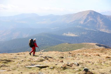 CARPathan Dağları, UKRAine - 8 Ekim 2022 Hoverla Dağı. Sonbaharda Ukrayna 'da Karpatlar. Turistler Hoverla dağının tepesine tırmanmak için tepeler ve ormanlar arasında yürürler.