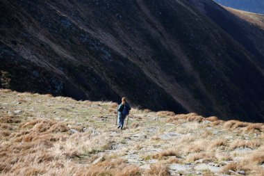 CARPathan Dağları, UKRAine - 8 Ekim 2022 Hoverla Dağı. Sonbaharda Ukrayna 'da Karpatlar. Turistler Hoverla dağının tepesine tırmanmak için tepeler ve ormanlar arasında yürürler.