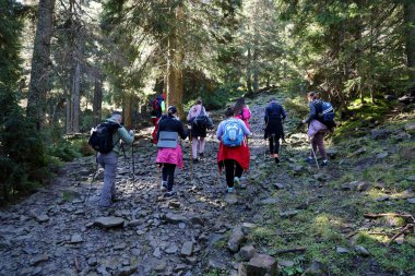 CARPathan Dağları, UKRAine - 8 Ekim 2022 Hoverla Dağı. Sonbaharda Ukrayna 'da Karpatlar. Turistler Hoverla dağının tepesine tırmanmak için tepeler ve ormanlar arasında yürürler.