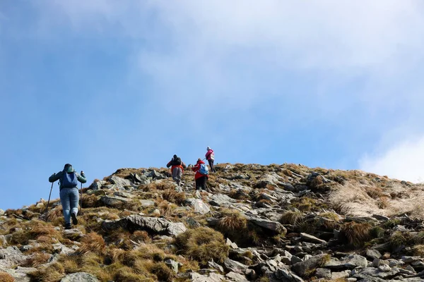 CARPathan Dağları, UKRAine - 8 Ekim 2022 Hoverla Dağı. Sonbaharda Ukrayna 'da Karpatlar. Turistler Hoverla dağının tepesine tırmanmak için tepeler ve ormanlar arasında yürürler.