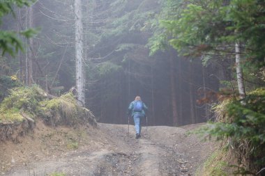 CARPathan Dağları, UKRAine - 8 Ekim 2022 Hoverla Dağı. Sonbaharda Ukrayna 'da Karpatlar. Turistler Hoverla dağının tepesine tırmanmak için tepeler ve ormanlar arasında yürürler.