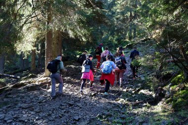 CARPathan Dağları, UKRAine - 8 Ekim 2022 Hoverla Dağı. Sonbaharda Ukrayna 'da Karpatlar. Turistler Hoverla dağının tepesine tırmanmak için tepeler ve ormanlar arasında yürürler.