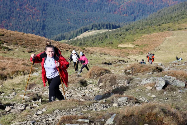 加泰罗尼亚山区 2022年10月8日 胡佛拉山 秋天的乌克兰喀尔巴阡山脉 游客们穿过小山和树林爬上Hoverla山顶 — 图库照片