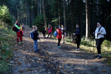 CARPathan Dağları, UKRAine - 8 Ekim 2022 Hoverla Dağı. Sonbaharda Ukrayna 'da Karpatlar. Turistler Hoverla dağının tepesine tırmanmak için tepeler ve ormanlar arasında yürürler.