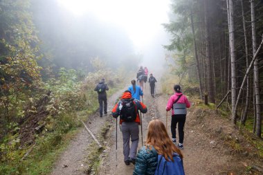 CARPathan Dağları, UKRAine - 8 Ekim 2022 Hoverla Dağı. Sonbaharda Ukrayna 'da Karpatlar. Turistler Hoverla dağının tepesine tırmanmak için tepeler ve ormanlar arasında yürürler.