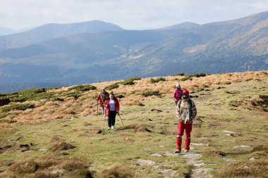 CARPathan Dağları, UKRAine - 8 Ekim 2022 Hoverla Dağı. Sonbaharda Ukrayna 'da Karpatlar. Turistler Hoverla dağının tepesine tırmanmak için tepeler ve ormanlar arasında yürürler.