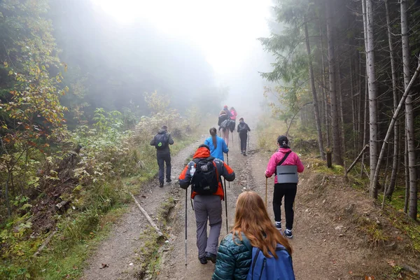 加泰罗尼亚山区 2022年10月8日 胡佛拉山 秋天的乌克兰喀尔巴阡山脉 游客们穿过小山和树林爬上Hoverla山顶 — 图库照片