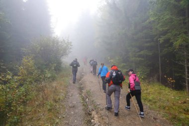 CARPathan Dağları, UKRAine - 8 Ekim 2022 Hoverla Dağı. Sonbaharda Ukrayna 'da Karpatlar. Turistler Hoverla dağının tepesine tırmanmak için tepeler ve ormanlar arasında yürürler.