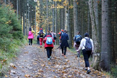 CARPathan Dağları, UKRAine - 8 Ekim 2022 Hoverla Dağı. Sonbaharda Ukrayna 'da Karpatlar. Turistler Hoverla dağının tepesine tırmanmak için tepeler ve ormanlar arasında yürürler.