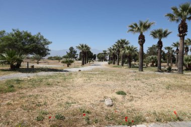 ANTALYA, TURKEY - Türkiye 'nin Pamukkale kenti yakınlarındaki antik Hierapolis' in 15 Mayıs 2021 kalıntıları güneşli bir günde. Büyük blokları ve sütunları olan eski tarihi binaların parçaları.