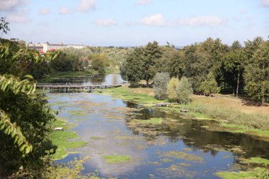 RIVNE, UKRAINE - 16 Eylül 2023 Dubno Kalesi yakınlarındaki Ikva Nehri manzarası. Yeşil nilüfer yapraklarının en üst manzarası gölde. Doğal yaşam alanı. Yaz manzarası. Ukrayna 'da seyahat yerleri.