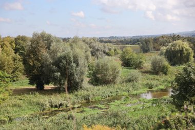RIVNE, UKRAINE - 16 Eylül 2023 Dubno Kalesi yakınlarındaki Ikva Nehri manzarası. Yeşil nilüfer yapraklarının en üst manzarası gölde. Doğal yaşam alanı. Yaz manzarası. Ukrayna 'da seyahat yerleri.