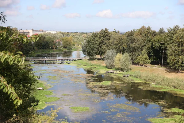 RIVNE, UKRAINE - 16 Eylül 2023 Dubno Kalesi yakınlarındaki Ikva Nehri manzarası. Yeşil nilüfer yapraklarının en üst manzarası gölde. Doğal yaşam alanı. Yaz manzarası. Ukrayna 'da seyahat yerleri.