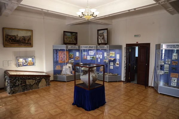 リビューン イギリスRaine セプトナー 2023 ドゥブノの城オストロスキーイの領土に関するウクライナの歴史博物館 リビューン地域 — ストック写真