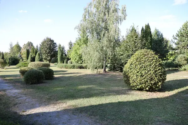 Ternopil Ukraine Σεπτεμβριου 2023 Κήπος Κοντά Στο Δασικό Κολλέγιο Kremenets — Φωτογραφία Αρχείου