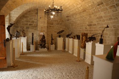 TERNOPIL, UKRAINE - 23 AĞUSTOS 2023 Zbarazh Kalesi 'nin içinde, Ukrayna' nın Zbarazh kasabasında güçlendirilmiş savunma kalesi