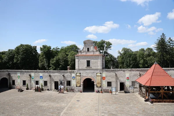 テルノピル イギリスRaine ウクライナ西部テルノピル地域のズバラ州にある中世ザバラ州城の宮殿と内庭の巨大な2323のメインビル — ストック写真