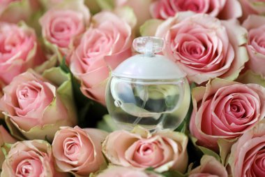 KHARKIV, UKRAINE - Jean Bousquet tarafından 1958 'de kurulan elbise, parfüm ve aksesuar giymeye hazır bir Fransız şirketi olan Cacharel' in Noa parfüm şişesi.