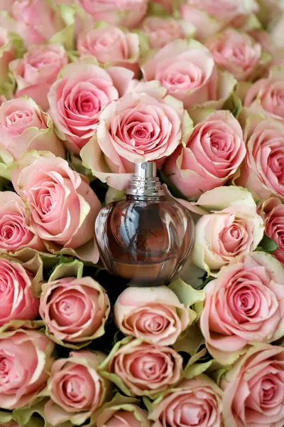 Kharkiv Ukraine Janvier 2021 Bouteille Parfum Poison Girl Par Dior — Photo