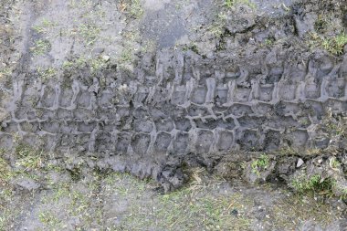 Çamurda tekerlek izi. Islak bir çayırdaki kahverengi çamurda traktör ya da ağır off-road arabası izleri.