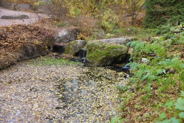 Gölü olan güzel tabiat sonbahar manzarası. Bulutlu bir günde altın sarısı yeşilliklerle sonbahar şehir parkının manzarası. Sonbahar yapraklarıyla kaplı Park 'ta yürüyüş yolları.