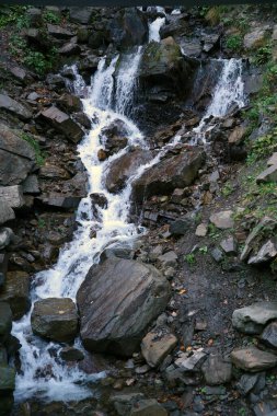 Bir dağ şelalesi kayaların üzerinden akar. Sonbaharda yosunlu kayalarda çağlayan şelale.