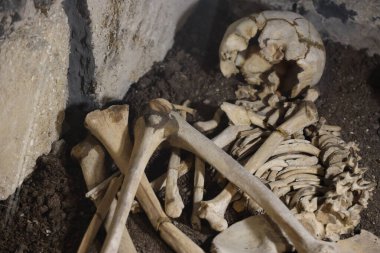 İşkence yaptıktan sonra korkunç mezarlıktan çıkarılan kafatasları ve kemikler.
