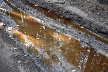 Orman yolunda çamurlu yüzeyde çamurlu su birikintileri olan çamurlu izler. Yaklaş.