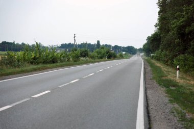 Akşam vakti boş asfalt yolu ve farklı çim ve çiçeklerden oluşan çiçek tarlası. Kenar mahalle manzarası