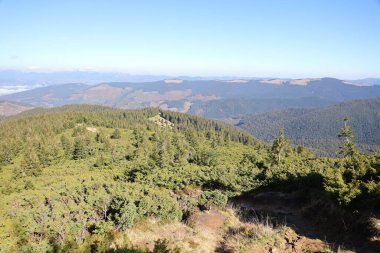 Ukrayna Karpatlarının gökyüzü ve bulutların arka planında asılı duran Hoverla Dağı manzarası