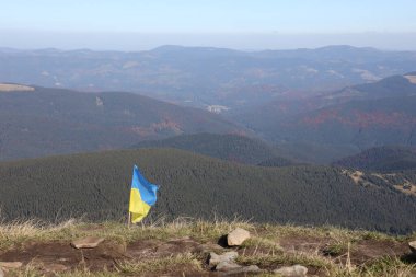 Ukrayna 'daki Hoverla dağının tepesinde Ukrayna bayrağı