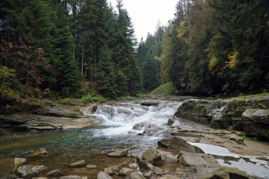 Ukrayna 'nın Hoverla dağları bölgesinde gizli bir parkta akan parlak mavi bir nehir.