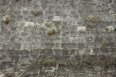 18. yüzyılın kalesinden ya da kalesinden çok eski tuğla bir duvar. Eski, kirli ve çatlak tuğlalarla dolu tam çerçeve duvar.