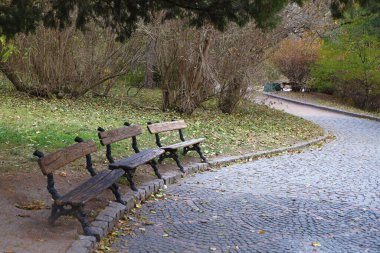 Güzel Doğa Sonbahar manzarası. Bulutlu bir günde altın sarısı yeşilliklerle sonbahar şehir parkının manzarası. Sonbahar yapraklarıyla kaplı Park 'ta yürüyüş yolları.