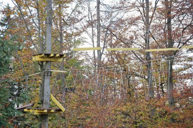 Ağaç tırmanışı ve spor, ağaççılık ya da akrobat halatları kursları, orman parkındaki fermuarlı teller için macera ağaç tepesi parkında ip köprüsü.