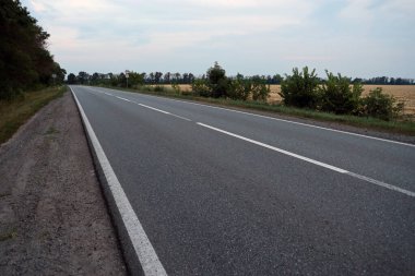 Akşam vakti boş asfalt yolu ve farklı çim ve çiçeklerden oluşan çiçek tarlası. Kenar mahalle manzarası