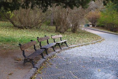 Güzel Doğa Sonbahar manzarası. Bulutlu bir günde altın sarısı yeşilliklerle sonbahar şehir parkının manzarası. Sonbahar yapraklarıyla kaplı Park 'ta yürüyüş yolları.