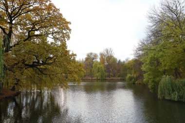 Gölü olan güzel tabiat sonbahar manzarası. Bulutlu bir günde altın sarısı yeşilliklerle sonbahar şehir parkının manzarası. Sonbahar yapraklarıyla kaplı Park 'ta yürüyüş yolları.