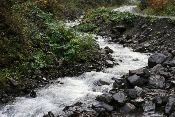 Ukrayna 'nın Hoverla dağları bölgesinde gizli bir parkta akan parlak mavi bir nehir.