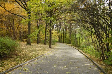 Güzel Doğa Sonbahar manzarası. Bulutlu bir günde altın sarısı yeşilliklerle sonbahar şehir parkının manzarası. Sonbahar yapraklarıyla kaplı Park 'ta yürüyüş yolları.