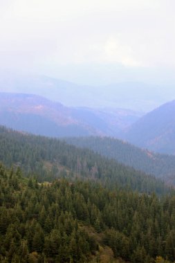 Ukrayna 'nın Karpat dağlarındaki Dragobrat dağlarının sabah manzarası. Sabahın erken saatlerinde Drahobrat Tepeleri 'nin etrafındaki bulutlu ve sisli manzara