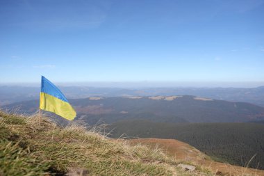 Ukrayna 'daki Hoverla dağının tepesinde Ukrayna bayrağı