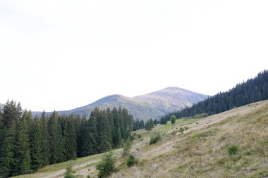 Ukrayna Karpatlarının gökyüzü ve bulutların arka planında asılı duran Hoverla Dağı manzarası