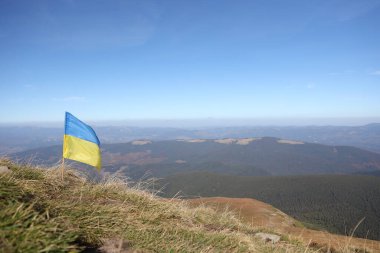 Ukrayna 'daki Hoverla dağının tepesinde Ukrayna bayrağı