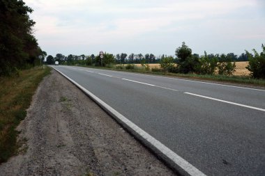 Akşam vakti boş asfalt yolu ve farklı çim ve çiçeklerden oluşan çiçek tarlası. Kenar mahalle manzarası