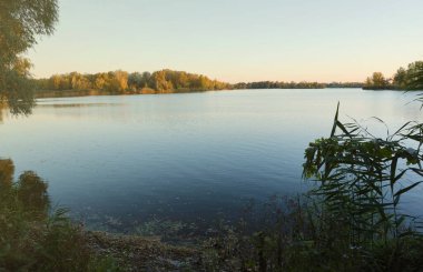 Gölü ve çok renkli ağaçlarıyla güzel bir sonbahar manzarası. Göl manzaralı bir yer ve güneş ışığı olan uzun ağaçlar.
